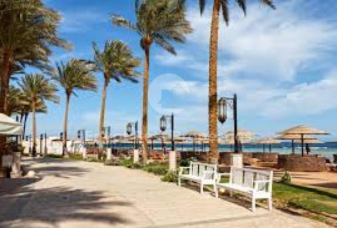 8542901 - صورة العقار 3