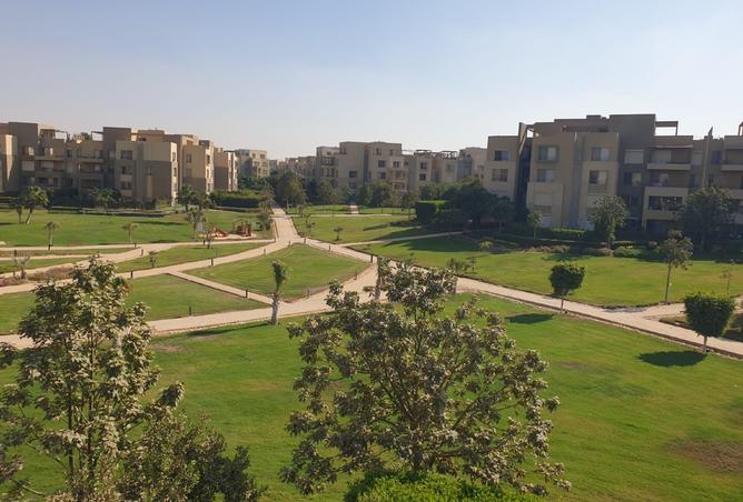 8370861 - صورة العقار 2