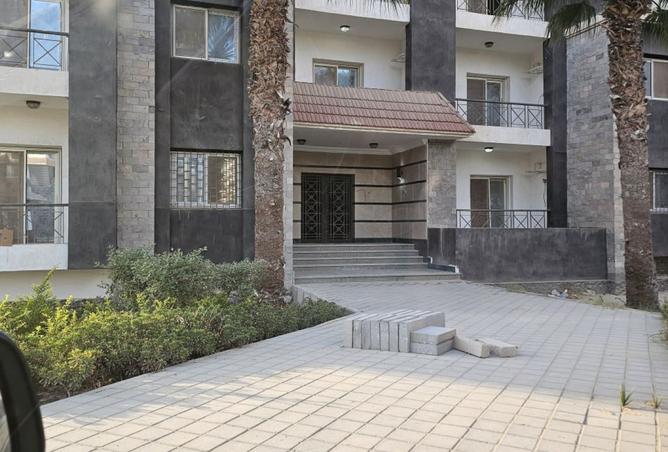 7906950 - Property Image 3