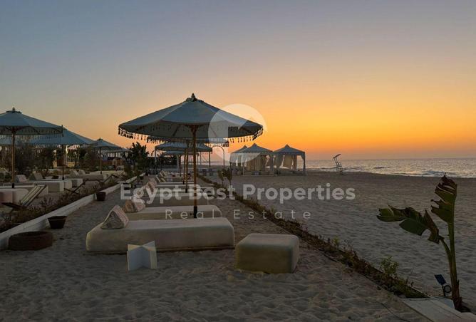 7924137 - Property Image 2