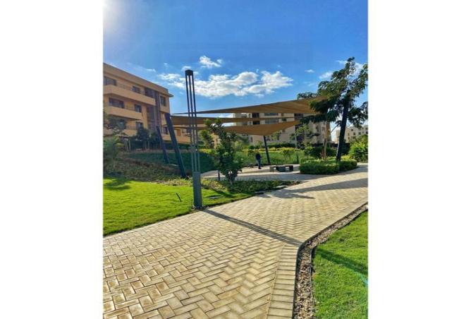 7969399 - صورة العقار 2