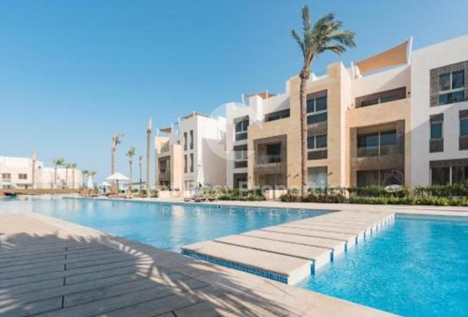 8496447 - Property Image 3