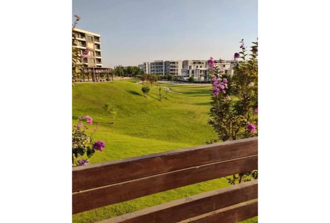 8179097 - صورة العقار 3