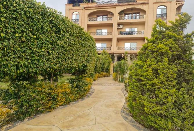 8062879 - Property Image 3