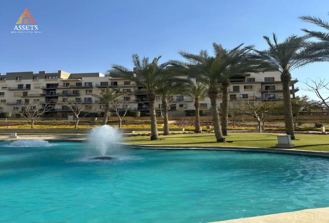 7976481 - Property Image 3