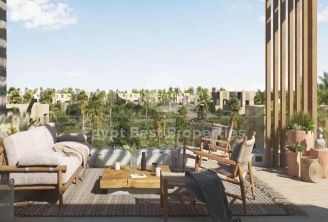 8491037 - Property Image 3