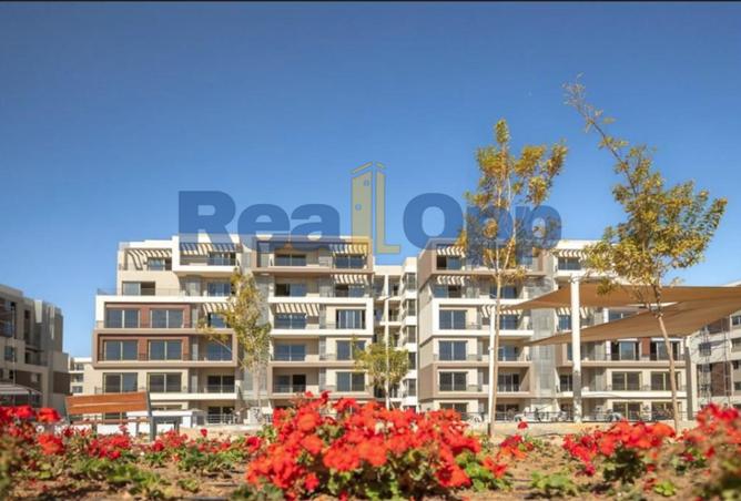 8137556 - Property Image 2