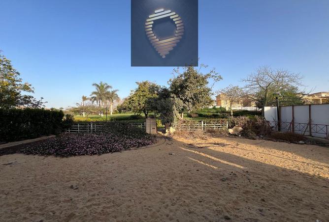 8081647 - صورة العقار 2