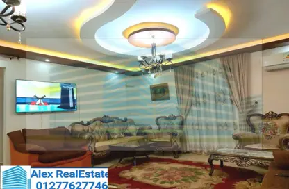Apartment - 3 Bedrooms - 1 Bathroom for rent in Kasr Al Safa St. - Zezenia - Hay Sharq - Alexandria