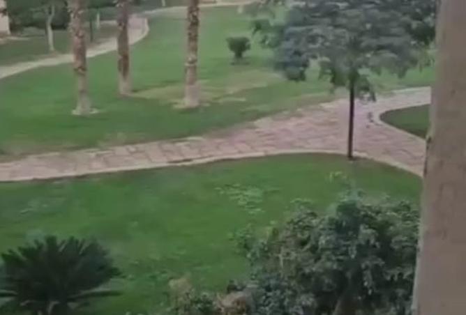 8199827 - Property Main Image