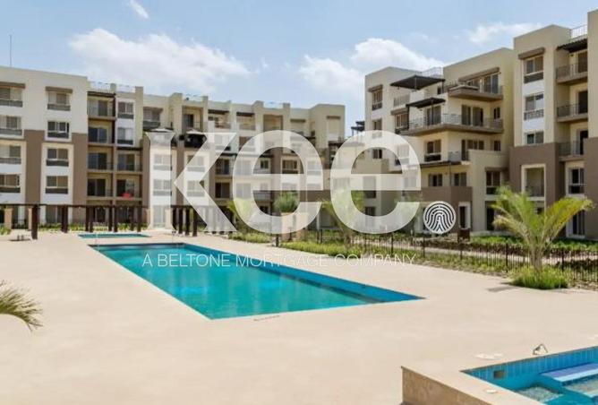 8438107 - Property Image 3