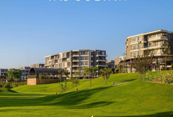 8440438 - Property Image 3