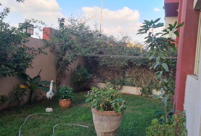7934696 - الصورة الرئيسية للعقار