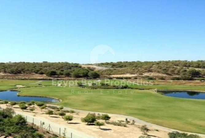 8209386 - Property Image 3