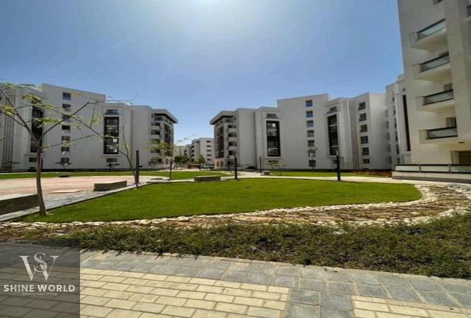 7997141 - Property Image 3