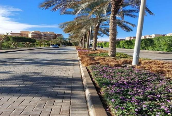 8318798 - صورة العقار 2