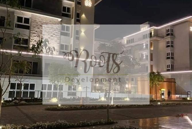 7926724 - Property Image 3