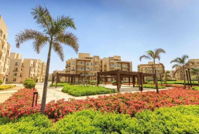 8356353 - صورة العقار 3