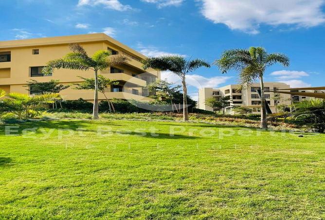 7984419 - Property Image 3
