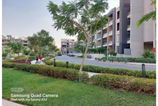 8438368 - Property Image 3