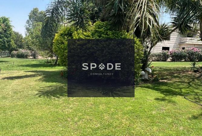 8200935 - Property Image 2