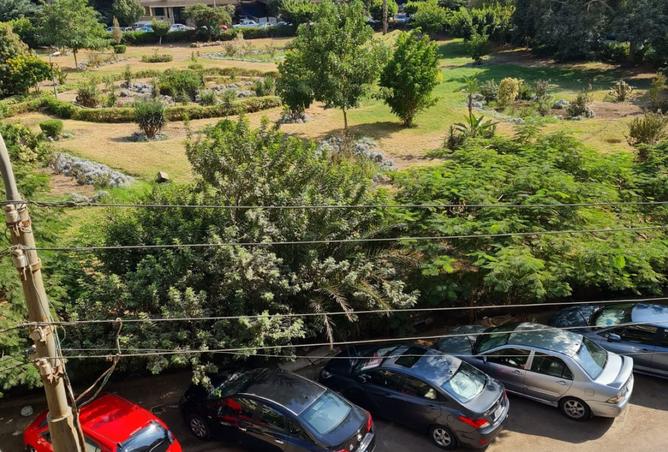 8233329 - الصورة الرئيسية للعقار