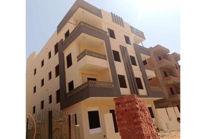 7935676 - Property Image 3