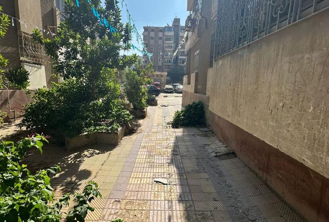 8124691 - صورة العقار 2