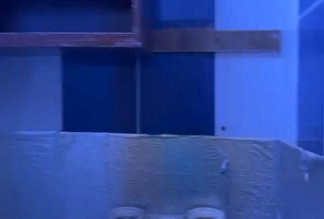 8218591 - صورة العقار 2