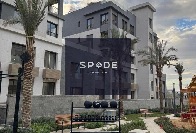 8426798 - Property Image 3