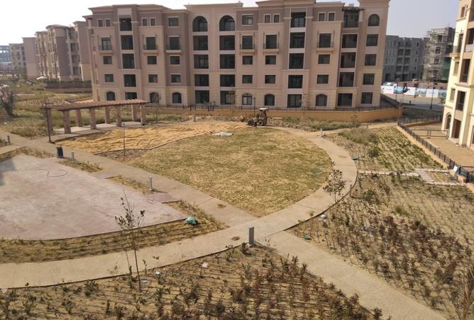 8157142 - صورة العقار 3